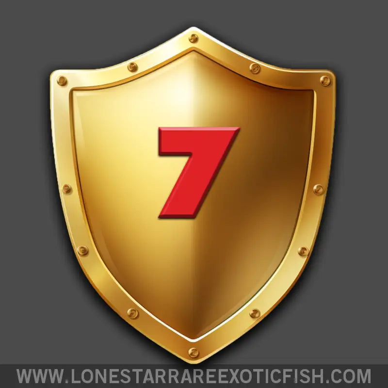 7-day Livestock Protection Live Freshwater Tropical Fish for Sale Online