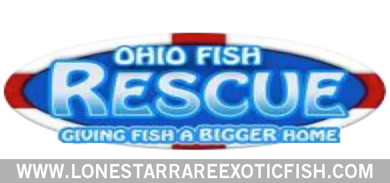 Make a Donation to the Ohio Fish Rescue Live Freshwater Tropical Fish for Sale Online