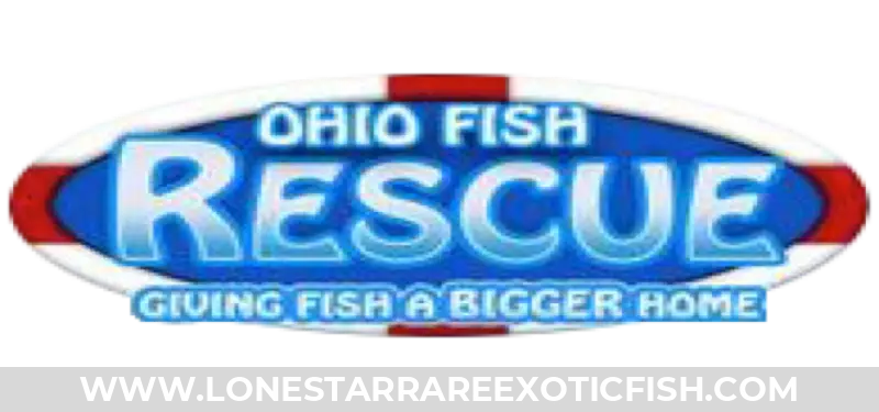 Make a Donation To The Ohio Fish Rescue Live Freshwater Tropical Fish For Sale Online